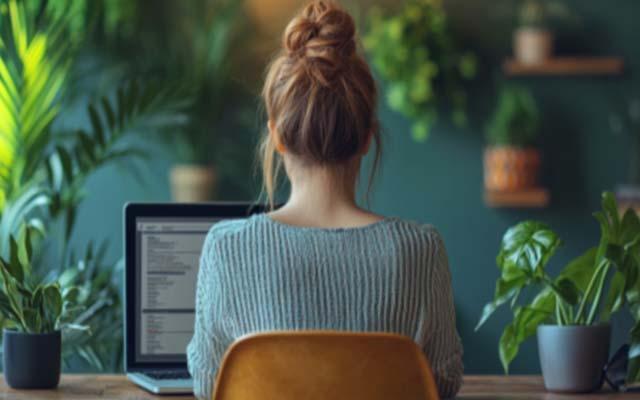 Excel: A Beginner's Guide to Formulas and Functions